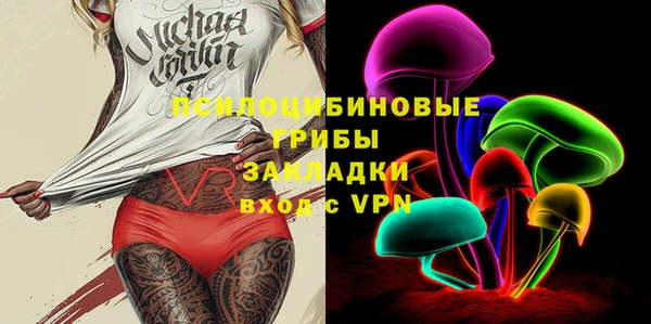 гашик Абаза