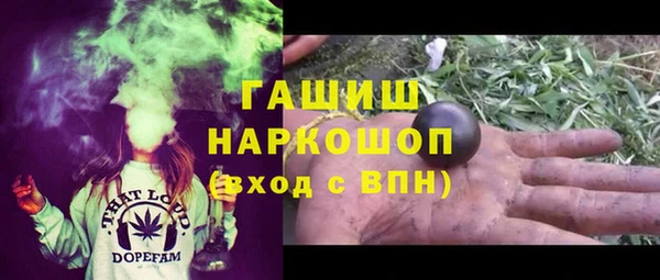 гашик Алексин