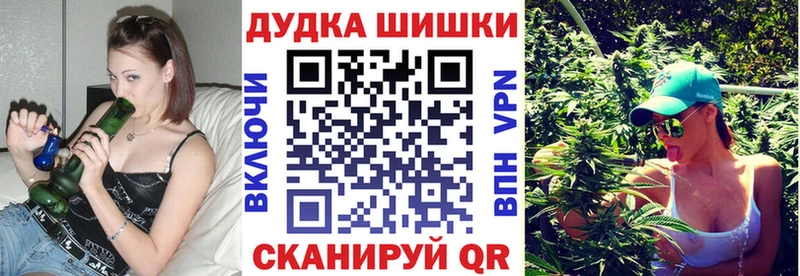 Конопля индика Кохма